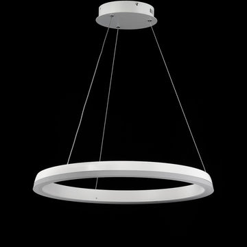 Baxter Modern Contemporary Aluminum Integrated LED Hoop Pendant - JONATHAN Y